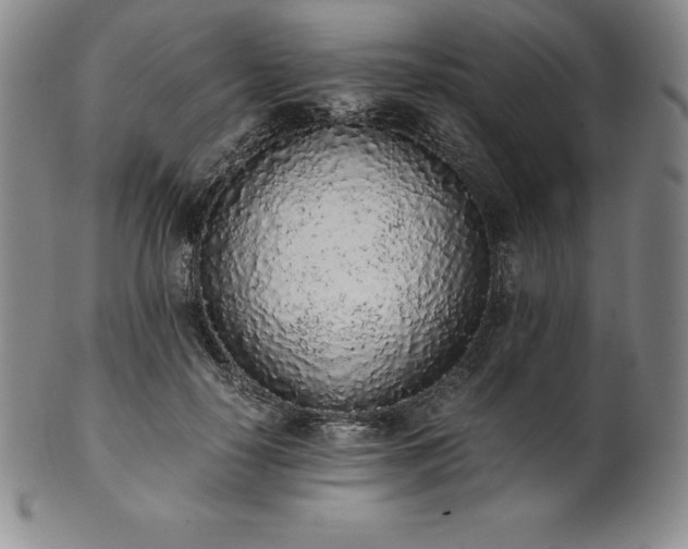 X0000101680650200807171412