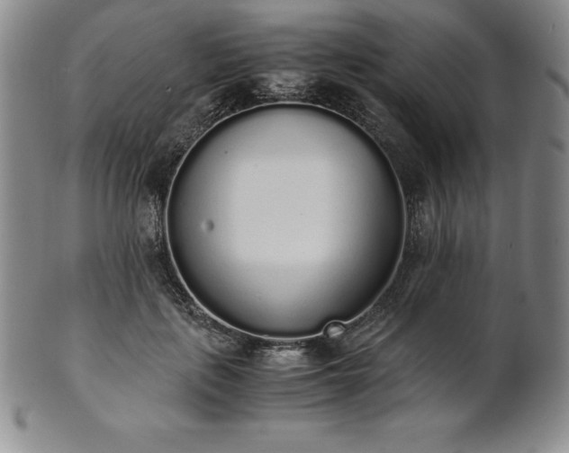 X0000101680651200807171412