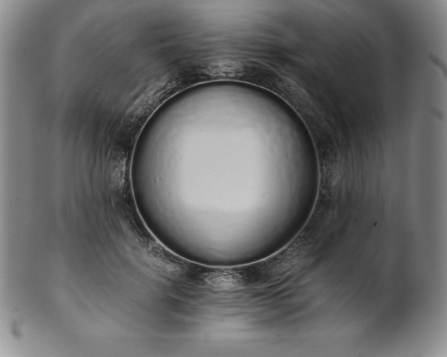 X0000101680652200807171412