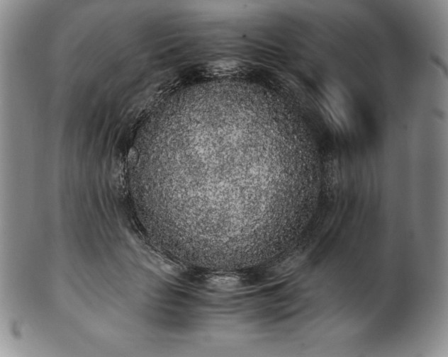 X0000101680653200807171412