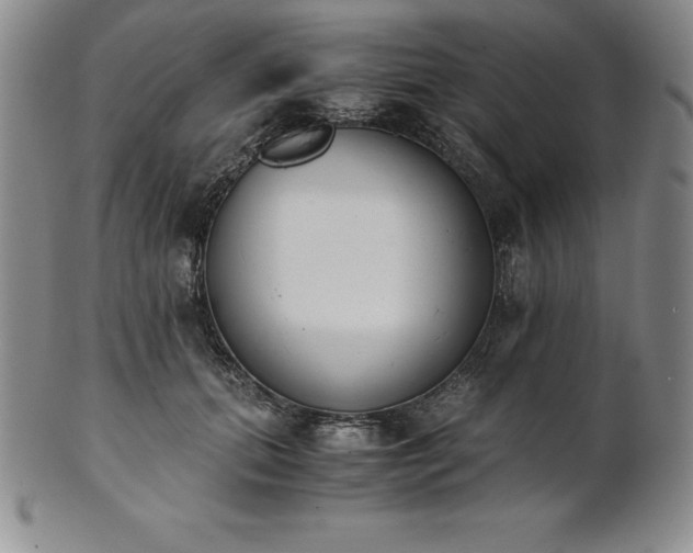 X0000101680655200807171412