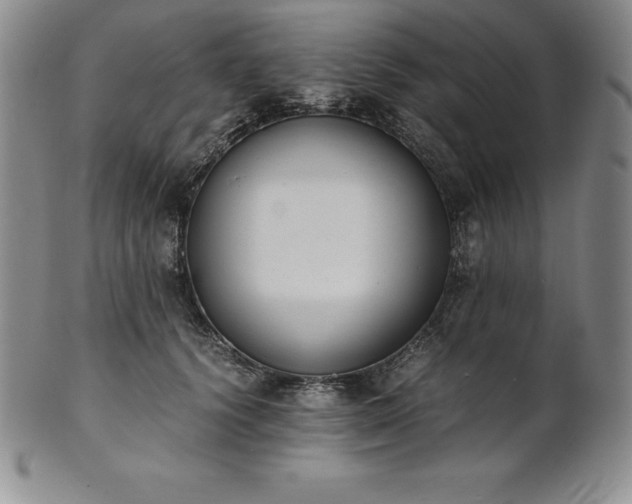 X0000101680656200807171412