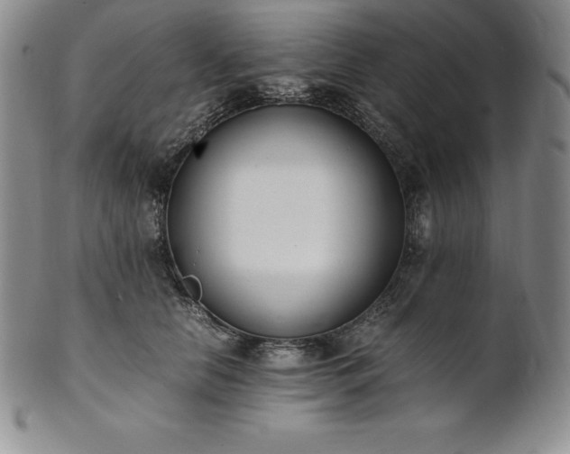 X0000101680658200807171412