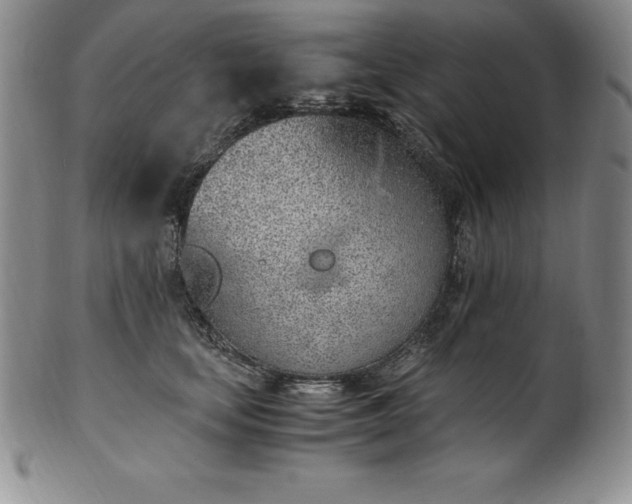 X0000101680659200807171412