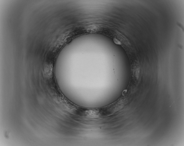 X0000101680660200807171412