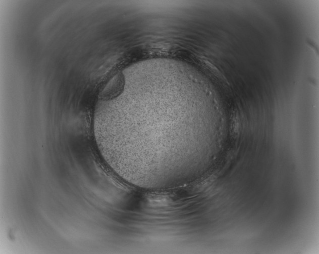 X0000101680661200807171413