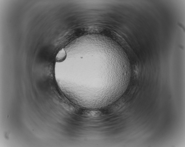 X0000101680663200807171413