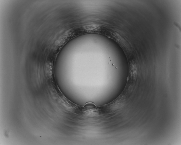 X0000101680664200807171413