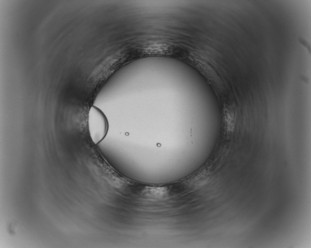 X0000101680665200807171413