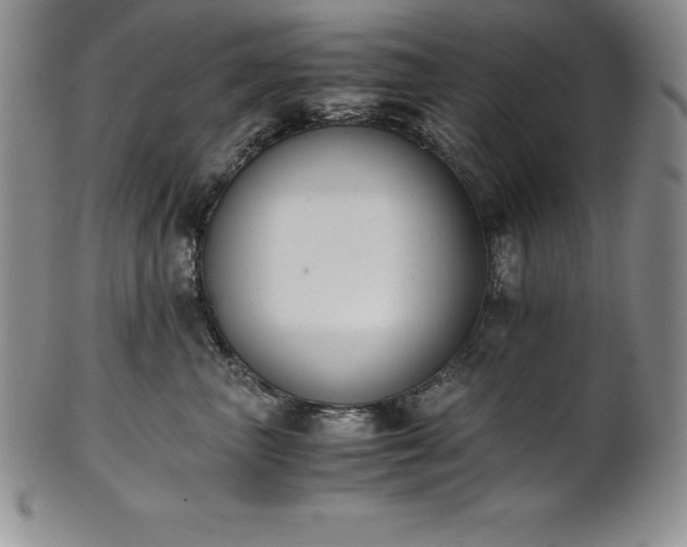 X0000101680667200807171413