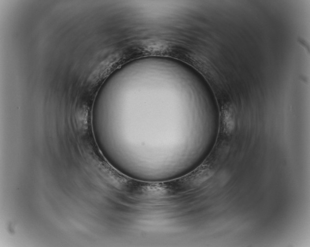 X0000101680668200807171413