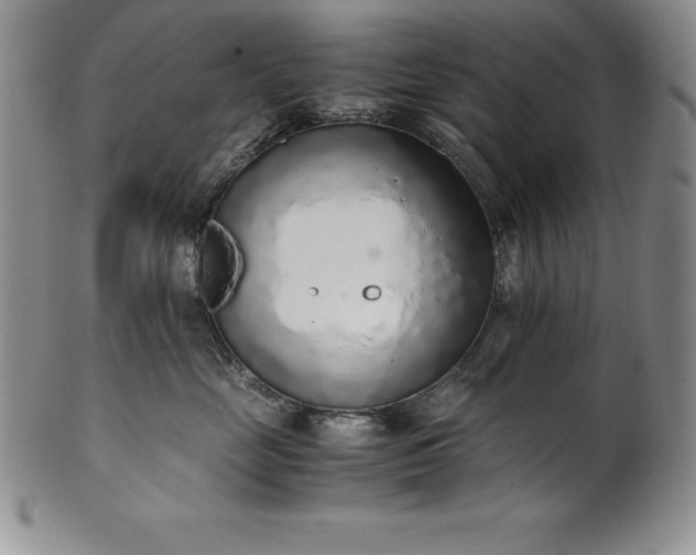 X0000101680669200807171413