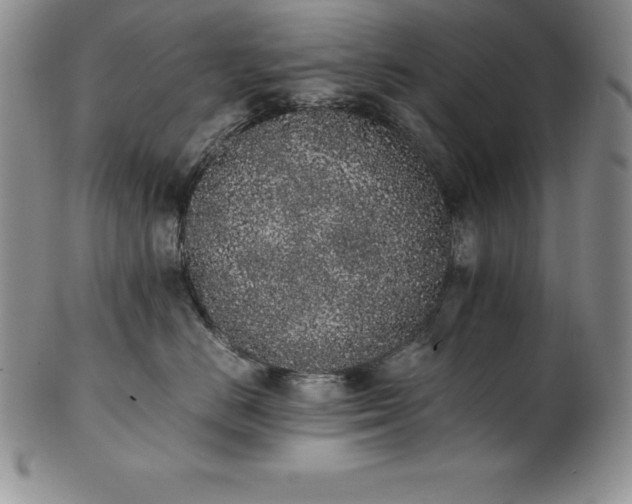 X0000101680670200807171413