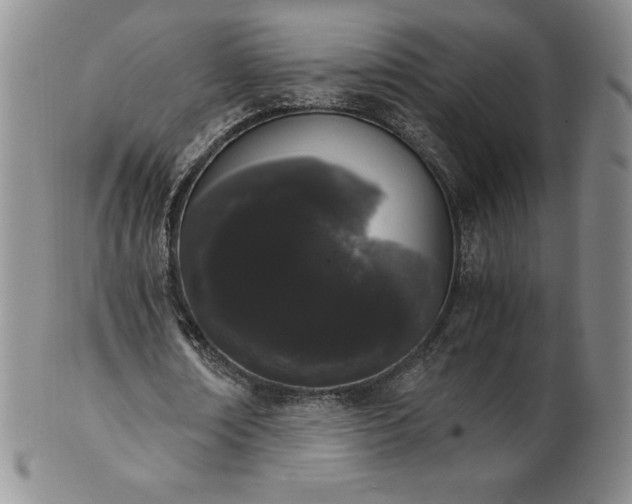 X0000101680674200807171412