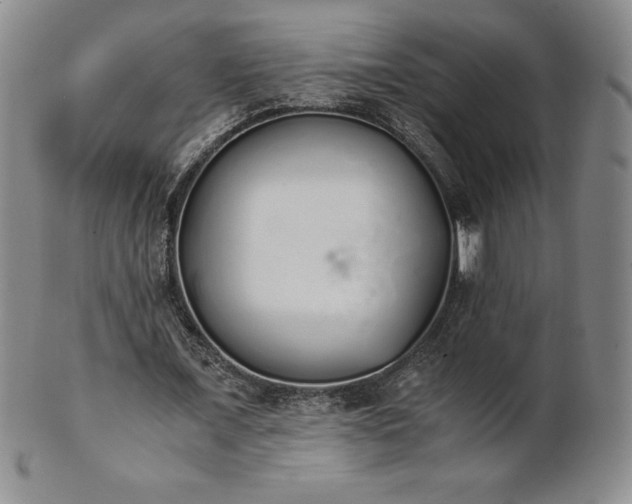 X0000101680675200807171412