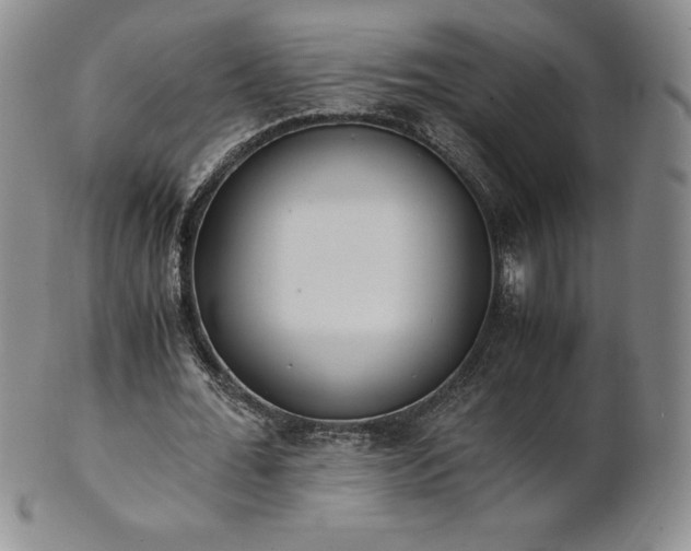 X0000101680676200807171412