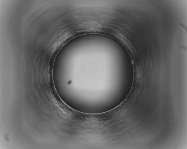 X0000101680677200807171412