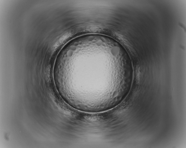 X0000101680679200807171412