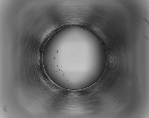 X0000101680680200807171412