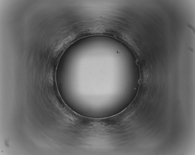 X0000101680681200807171412