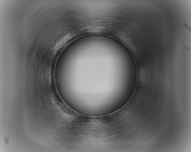 X0000101680682200807171412