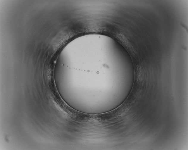 X0000101680683200807171412