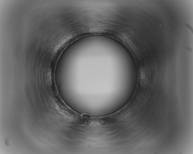 X0000101680684200807171412