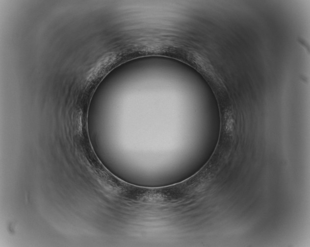 X0000101680685200807171412