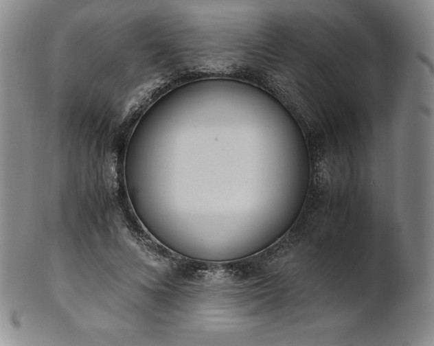 X0000101680688200807171412