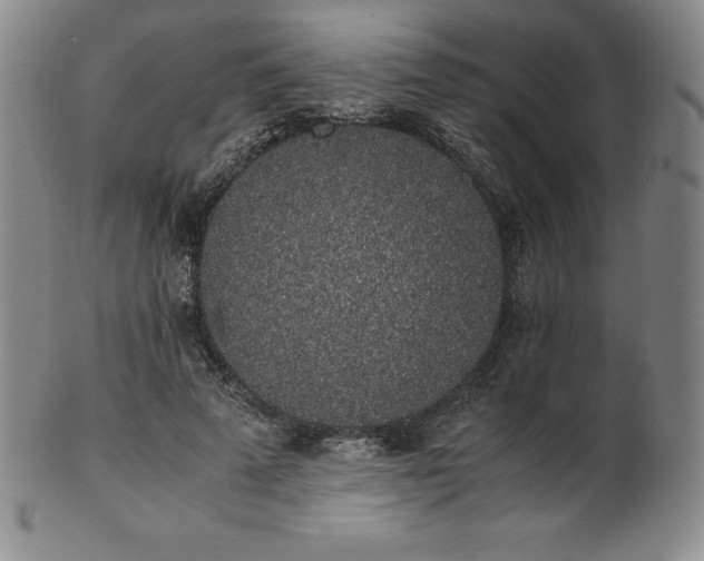 X0000101680689200807171412