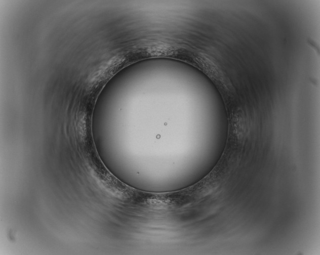 X0000101680690200807171412