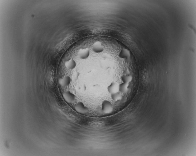 X0000101680691200807171412