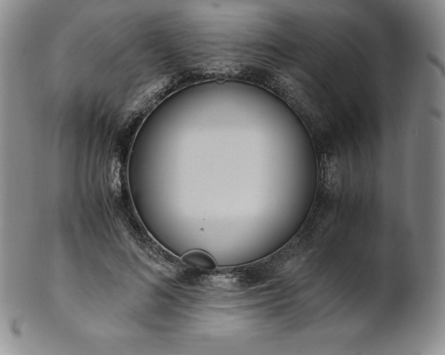 X0000101680692200807171412