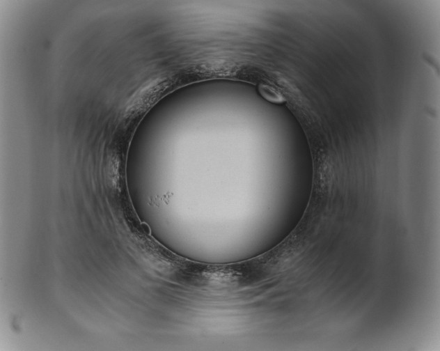 X0000101680693200807171412