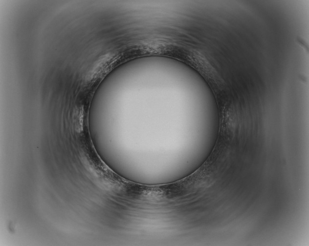 X0000101680694200807171412