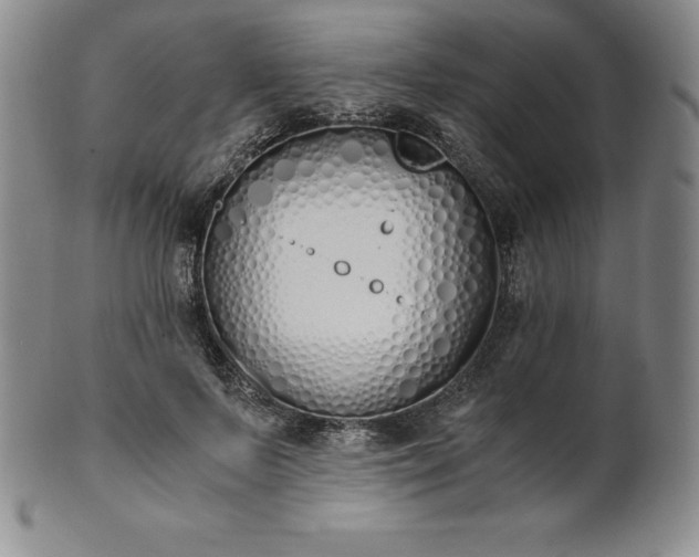 X0000101680695200807171412