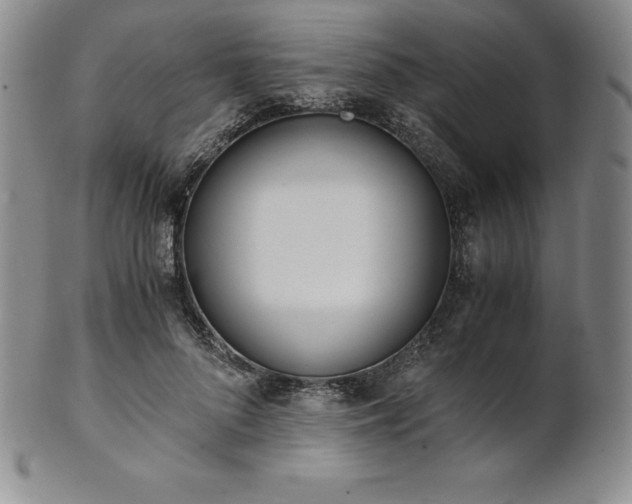 X0000101680696200807171412