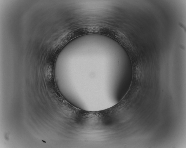 X0000101680697200807171412