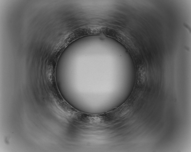 X0000101680698200807171412