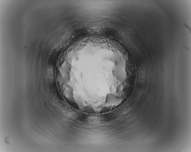 X0000101680699200807171412