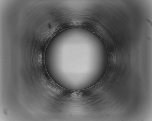 X0000101680700200807171412