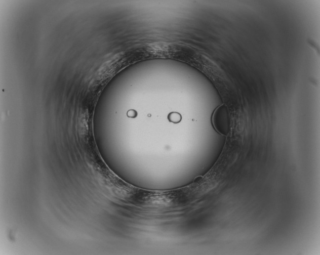 X0000101680702200807171412