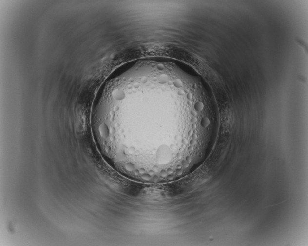 X0000101680703200807171412