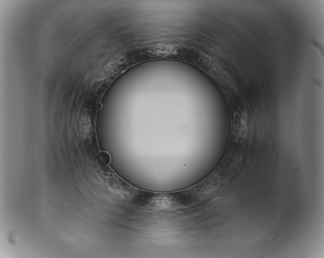 X0000101680704200807171412