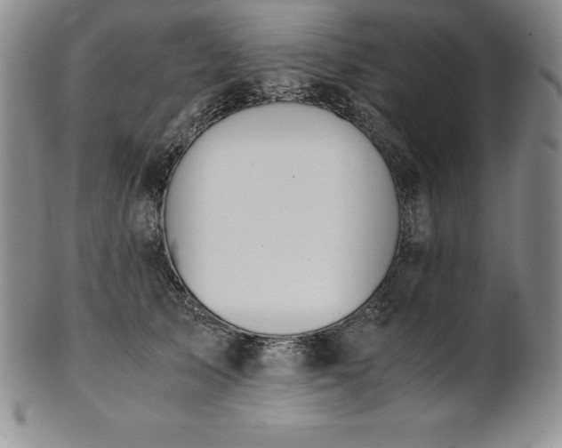 X0000101680705200807171411