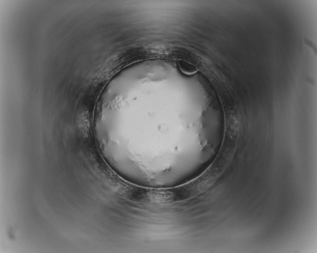 X0000101680707200807171411