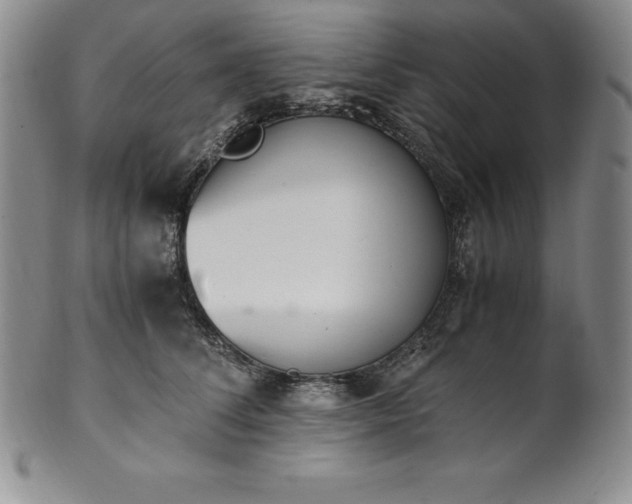 X0000101680708200807171411