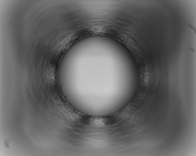 X0000101680710200807171411