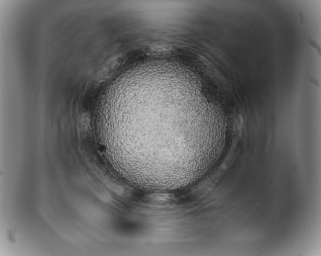 X0000101680711200807171411