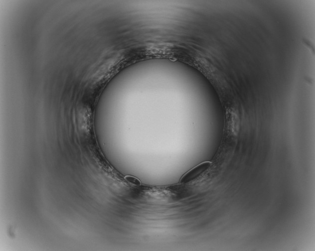 X0000101680712200807171411